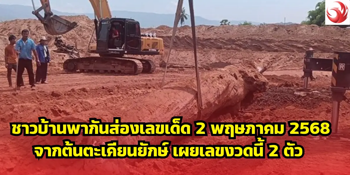 ชาวบ้านพากันส่องเลขเด็ด 2 พฤษภาคม 2568 จากต้นตะเคียนยักษ์ เผยเลขงวดนี้ 2 ตัว