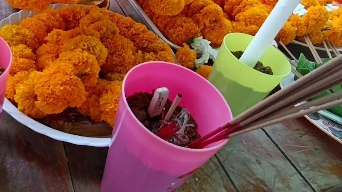 ชาวบ้านพากันส่องเลขเด็ด 2 พฤษภาคม 2568 จากต้นตะเคียนยักษ์ เผยเลขงวดนี้ 2 ตัว(เลขธูป)