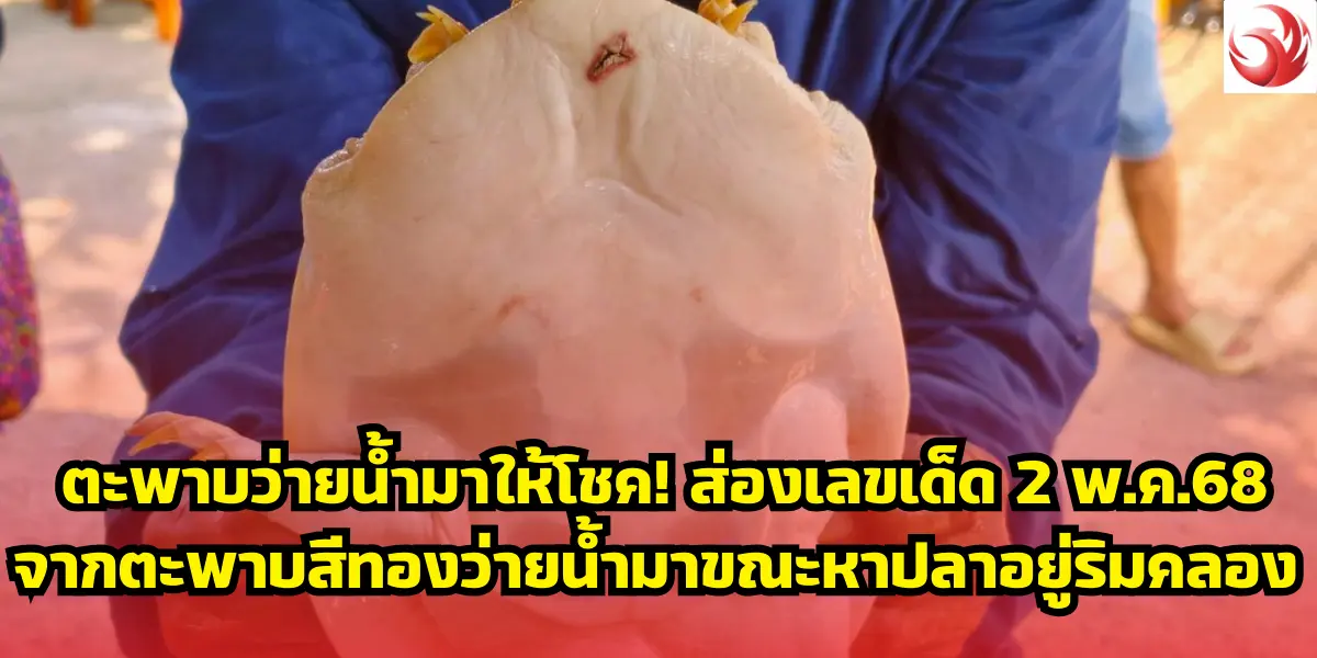 ตะพาบว่ายน้ำมาให้โชค! ส่องเลขเด็ด 2 พ.ค.68 จากตะพาบสีทองว่ายน้ำมาขณะหาปลาอยู่ริมคลอง