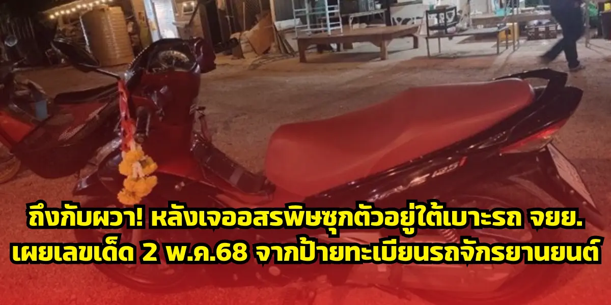 ผวา! หลังเจองูเห่าซุกตัวอยู่ใต้เบาะรถ เผยเลขเด็ด 2 พ.ค.68