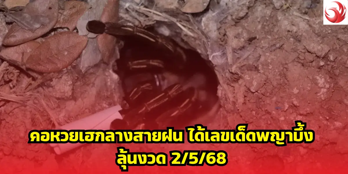 คอหวยเฮกลางสายฝน ได้เลขเด็ดพญาบึ้ง ลุ้นงวด 2/5/68 