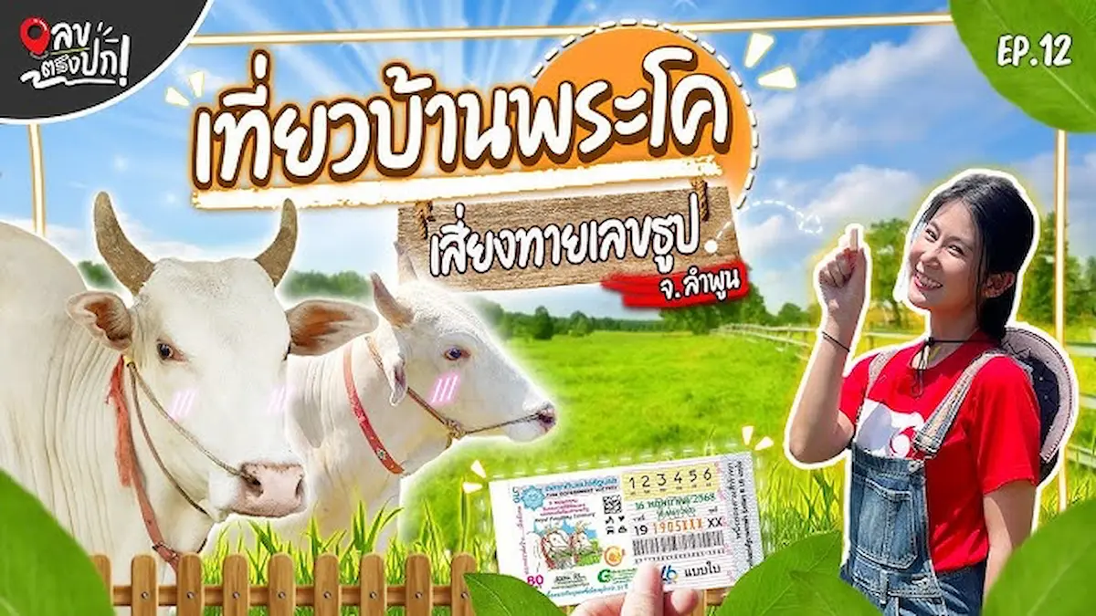 เปิดเลขดังลอตเตอรี่พลัส! เผยเลขเด็ดงวด 16 พ.ค. 68 (เลขตรงปก)