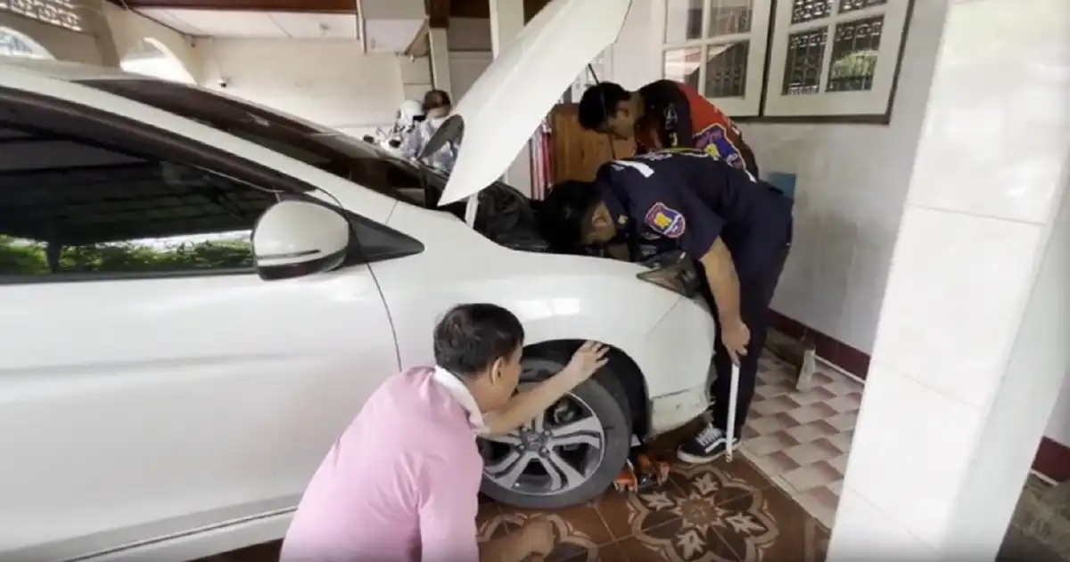 โค้งสุดท้าย! รวมเลขเด็ดจากข่าว ก่อนงวด 16 มิถุนายน 68 (แมว)