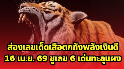 ส่องเลขเด็ดเสือตกถังพลังเงินดี 16 เม.ย. 69 ชูเลข 6 เด่นทะลุแผง